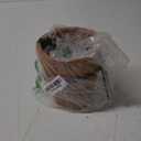 Esschert Design AT29 Wall Tom Pot, Clay