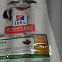 Hill's Science Diet Puppy, Puppy Premium Nutrition, Dry Dog Food, No Corn, Wheat, Soy Chicken & Brown Rice, 12.5 lb Bag BBD 09 2026