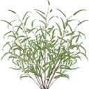 Briful 44.5 Tall Faux Eucalyptus Stems  Realistic Artificial Greenery Stems 5PCS Seeded Willow Eucalyptus Stems Brown Branches for Home, Office, Wedding, Bouquet, Centerpiece, Christmas Decoration