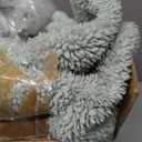 Bedsure GentleSoft Twin Blanket for Bed - Super Soft Cozy Blankets for Women Men Girls, Cute Fuzzy Fleece Throws for Bedroom Couch, Sage Green, 60x80 Inches