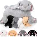 HyDren 5 Pcs Easter Bunny Stuffed Animal with Babies, 15 Inch Stuffed Bunny with 4 Baby Rabbits in Her Belly, Soft Rabbit Plush Toys for Kids, Boys, Girls Birthday Baby Shower