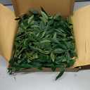 Ling's Moment Rosa Banksiae Artificial Vines, Pack of 7 Silk Greenery Garlands with Hanging Faux Laurel Leaves for Table Centerpieces, Wedding Arches & Floral Filler Arrangements