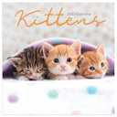 TF PUBLISHING 2025 Kittens Wall Calendar | Large Grids for Appointments and Scheduling | Vertical Monthly Wall Calendar 2025 | Home and Office Organization | Premium Gloss Paper | 12"x12
