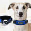 ANCCOPLUS Comfort Fit Dog Collar, Anti-Choke Neck Safe Dog Training Collar, Wide Padded, Breathable, Adjustable with Dual D-Rings, Soft Cushion Neck Protector for Dogs (L, Blue)