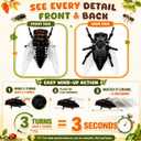 7PCS Wind-Up Insect Toys Set with Educational Fact Cards – Realistic Crawling Bug Toys for Kids, STEM Science Learning Toy, Fun Preschool Gift for Boys & Girls