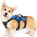 rabbitgoo Escape Proof Dog Harness, Soft Padded Full Body Pet Harness, Reflective Adjustable No Pull Vest with Lift Handle and Leash Clip for Large Dogs Walking Hiking Training, S, Blue (Small (Pack of 1))