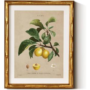 InSimSea Gold Bamboo Framed Canvas Wall Art, Retro Nature Plum Botanical Paintings, Antique Vintage Picture Frame with Mat, Victorian Home Wall Decor for Living Room Kitchen Dining, 11x14inch