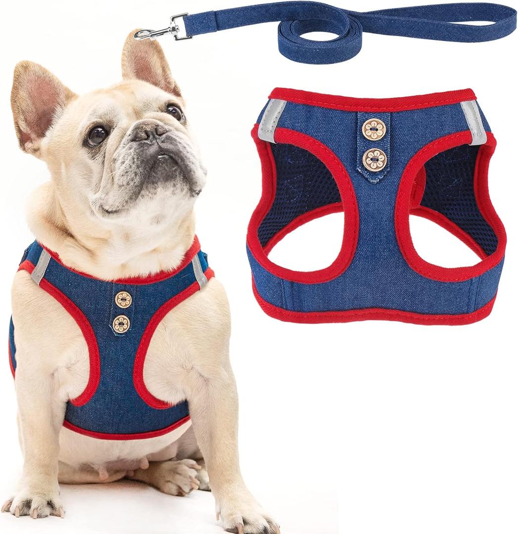 PUPTECK Dog Harness and Leash Set for Small Medium Dogs No Pull Step-in Soft Mesh Puppy Cat Vest Harnesses Reflective at Night, Denim NavyBlue L (L(CHEST 18"-20", 16.5-22 lbs))