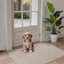 DEXI Ultra Thin Door Mat Indoor Entrance 35x56, Non Slip Rubber Backed Entryway Mats Dirt Trapper, Low Profile Front Doormat for Inside Entry, Patio, Porch, Beige