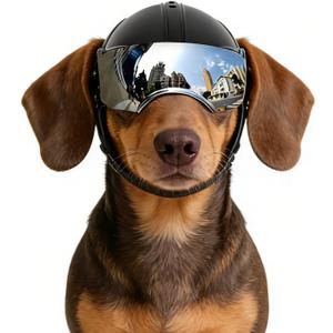Namsan Dog Helmets for Small Dogs, Dog Helmet with Sun Lens Goggles, Doggie Helmets Hat with Ear Holes, Bike Doggie Helmet for Small to Medium Dogs, Adjustable, Black