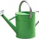 Metal Watering Can, One Gallon Watering Cans Stainless Steel for Outdoor Indoor Garden Plants Watering (Stainless Steel Handle Green)