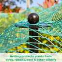 72 Inch Garden Stake Netting Support, Black Heavy Duty Powder Coated Steel Frame for Garden Fencing, Plant & Crop Protection from Wildlife (6 Sets)