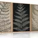 KAIRNE Framed Botanical Wall Art set, Black Tan Canvas Plant Wall Decor, Minimalist Wall Painting, Abstact Modern Fern Leaf Artwork for Living room, Bedroom, Farmhouse, Dinning Room, Office-16 x24 x3 (24L" x 16W")
