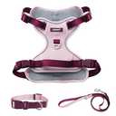 No Pull Dog Harness Leash and Collar Set, Soft Adjustable Dogs Vest Reflective and Comfortable Handle Pink Medium