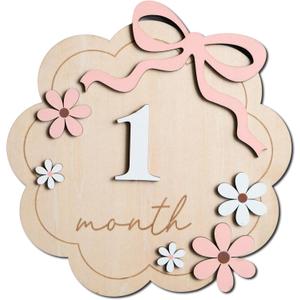 Baby Monthly Milestone Sign,1-12 Monthly Baby Milestone, Month Milestone Baby Girl, Baby Months Milestone, Newborn Photography Props Double-Sided (B11)