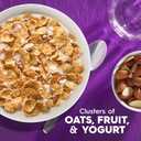 Kellogg's Special K Fruit and Yogurt Breakfast Cereal, Good Source of Fiber, Giant Size, 22 oz