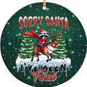 2 x 2025 Christmas Ornament  Sorry Santa I Have Been Feral Funny Naughty Holiday Ornament Gift, Xmas Tree Decoration Gift