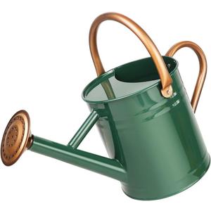 Metal Watering Can with Removable Spout, Galvanized Steel Plants Water Can for Women, Men and Kids' Outdoor or Indoor Gardening - Nice Flower Watering Pot Gift & Decoration (Green, 0.6 Gallon)