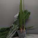 Artificial Palm Tree 6ft Tall Fake Palm Tree Indoor Decor with 18 Trunks and Real Bark Design Faux Tropical Areca Palm Silk Floor Plant in Pot for Home Office Living Room Bedroom Decor 2pcs