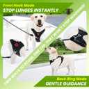 No Pull Dog Harness for Medium Dogs, 4 Secure Quick-Release Buckles & 2 Metal Leash Clips, Soft Control Handle, No-Choke Fit for Walking, Training & Everyday Use, Black, M