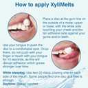 Oracoat XyliMelts for Dry Mouth Night Time or Day - Moisturizing Dry Mouth Adhering Discs, Sugar Free with Xylitol, 230 Count, Cinnamon, 8-Hour Relief Exp 06/2029