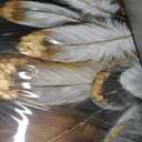 upsimples 8x10 Picture Frame Set of 5, Display Pictures 5x7 with Mat or 8 x 10 Without, Wall Gallery Photo Frames, Black