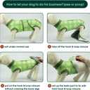 Kuoser Dog Recovery Suit for Female Male Dogs, Post-Surgery Bodysuit for Spay Neuter, Dog Onesie After Surgery, Anti-Licking Pet Surgical Recovery Suit, Green XXL