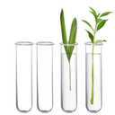 XXXFLOWER Glass Propagation Stations Accessories Glass Test Tubes Tiers Planters Wall Terrarium for Home Office Plant Hanger Flower Vases Wall Decor Hydroponic Cuttings (4 Tube Vases) Clear