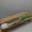 Giegxin 6ft Faux Citrus Tree 72in Minimalist Citrus Artificial Tree with Lifelike Leaves Artificial Plant for Home Indoor Living Room Office Porch Floor Decor