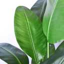 HAIHONG 2Packs 4FT Artificial Bird of Paradise Plant,Faux Palm Tree Potted Plant with Real Touch Leaves,Fake Trees for Home Living Room Office Indoor Outdoor Decor(4 FT-2Packs)