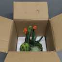 Assorted Artificial Cactus Plants Indoor - 5.9" Small Faux Succulent Cacti Plants in Pots Mini Fake Flowering Cactus Potted with Bowl for Home Office Living Room Bathroom Shelf Table Indoor Decor