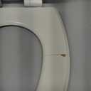KOHLER Stonewood Quiet-Close Elongated Toilet Seat, Slow Close Design, Durable Wood, Easy Installation, Universal Fit, Biscuit, K-20466-96