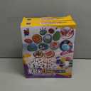 Fun Express DIY Rock Painting Kit for Kids, All in One Kids Craft Kit, Birthday and Everday Gifts, Great for Creative Acitivity for Home and School, Pack 2