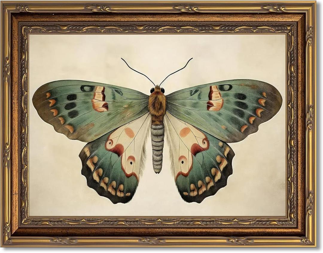 Myzoran Vintage Gold Framed Butterfly Canvas Wall Art,Retro Butterfly Illustration Room Decor,Dark Moody Insect Picture,Antique Moth Artwork for Cottagecore Living Room Bedroom Decoration 9x11 Inch