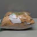 Adult Cosplay Costume Animal Platypus Onesie Unisex Novelty One-Piece Pajamas Sleepwear for Men Women (Medium, Flying Squirrel)