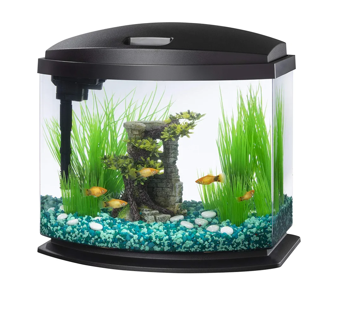 Aqueon LED MiniBow Small Aquarium Fish Tank Kit with SmartClean Technology, Black, 5 Gallon