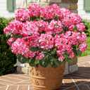Fake Geraniums Artificial Flowers for Outdoors Outside, 6 Bundles Pink Silk Geraniums Fake Flowers Plants UV Resistant Realistic Faux Flowers for Outdoor Planters Garden Balcony Yard Porch Indoor