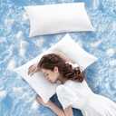 LBRO2M Goose Down Pillow 1050 Fill Power 80% Goose Down 20% Goose Feather 100% Cotton Pillowcase Queen Down Pillows Ideal for Plush Comfort and Support (20"X36", Set of 2) (King (Pack of 2), White)