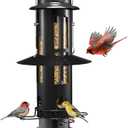 Kingsyard Squirrel Proof Bird Feeders with Weight-Activated Perches, Metal Wild Bird Feeder for Outdoors Hanging, 3 lb Large Seed Capacity, Black