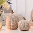 Artificial Pumpkin Decor, Brown and White Decorative Pumpkins, Thanksgiving Resin Pumpkins Figurine Set of 2, Carved Pumpkin Statues for Rustic Fall Tabletop Home Decor, Harvest, Wedding