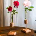Clear Narrow Neck Test Tube Vase,Elegant Small Vase for Living Room & Home Decor All Seasons Plants Home décor Lover Gifts for Women