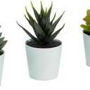Artificial Succulents Set of 3 Mini Realistic Fake Plants with Plastic Pots for Home and Office Decoration, 4in (H) x 3in (W)-Baby Blue Pot