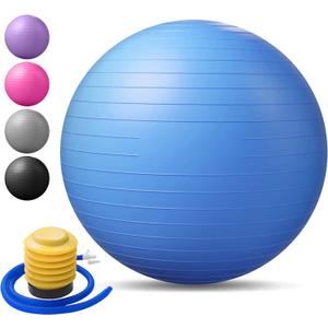Exercise Ball Extra Thick Balance & Stability Ball Anti Burst - Swiss Ball for Balance, Stability, Pregnancy and Physical Therapy, Quick Pump Included
