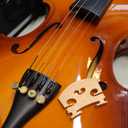 Vangoa Violin 1/2 Size for Kids Beginners Full Set, Spruce Childrens Fiddle Half Size Bundle Medium Acoustic Violins Starter Kit Package w/Side Solidwood, Hard Case for School Students Ages 6-9