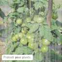 MR FIVE 4 Pcs Bird Barrier Netting Mesh with Drawstring,Plant Cover Bags Bird Netting Mesh for Fruit Trees,Reusable Garden Netting Mesh with Drawstring for Fruit Tree Vegetable Flower,3.8 ft x 2.6 ft