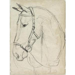 ART.COM Wall Art Print Horse in Bridle Sketch II by Jennifer Parker, 18" x 24"