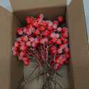 RONYOUNG 32PCS 9" Artificial Holly Berry Stems Christmas Berry Picks Sprays Snowy Fake Red Berries for Christmas Tree Branches Fillers Ornaments Valentine DIY Crafts Wedding Home Party Winter Decor