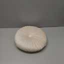 HLOVME Round Pillow Cushion for Couch Velvet Decorative Small Throw Pillow Solid Color for Living Room Bed Floor 13.7, Beige