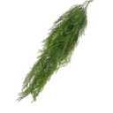 VICASKY 4pcs Realistic Pine Needle Rattan Lightweight Faux Plant Decor for Wall Hanging and Flower Arrangement Artificial Leaves Bundle for Home Party Decoration,17x9cm