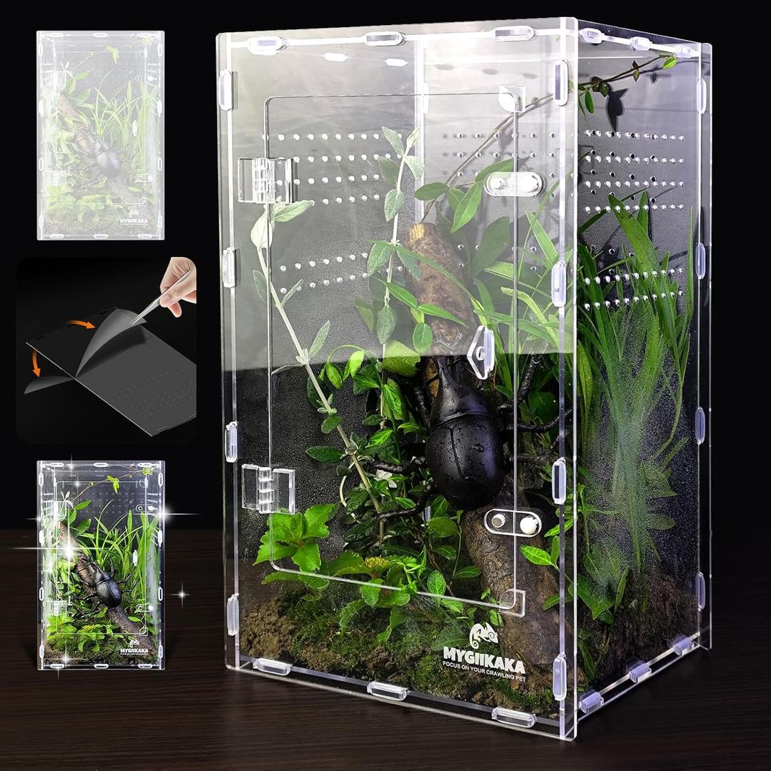 Acrylic Jumping Spider Enclosure - Insect Terrarium for Spiders, Mantises, Tarantulas & Frogs (Large)